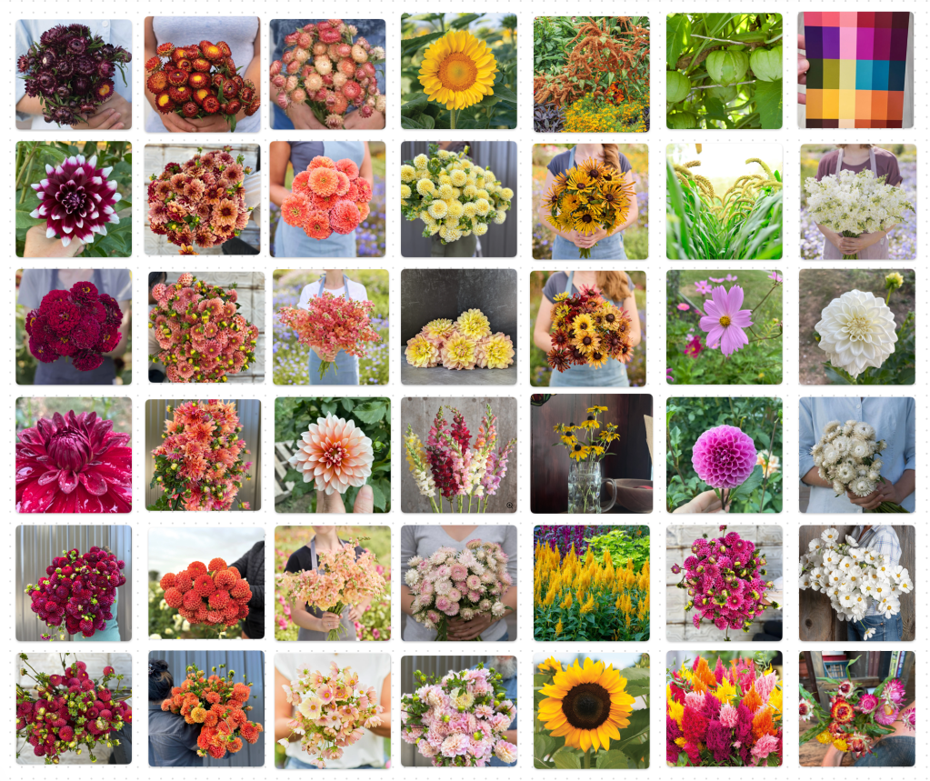 Flower “Yearbook” & Vision Board&nbsp;2026