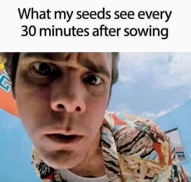 Will They EVER&nbsp;Sprout?!?