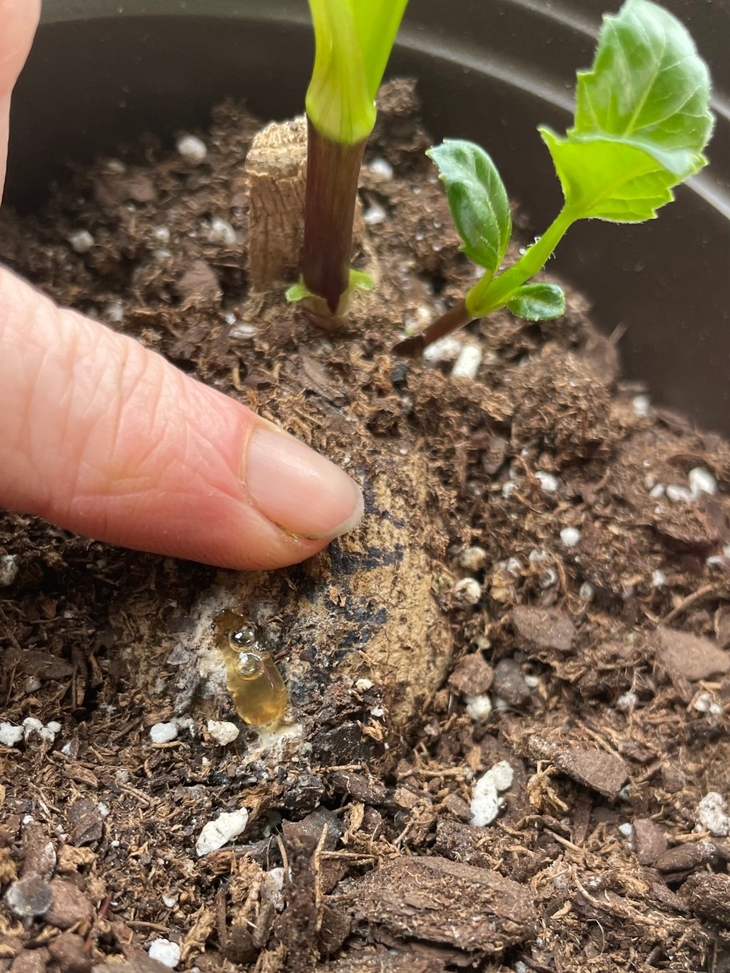 Hard Things I’ve Learned about&nbsp;WATER