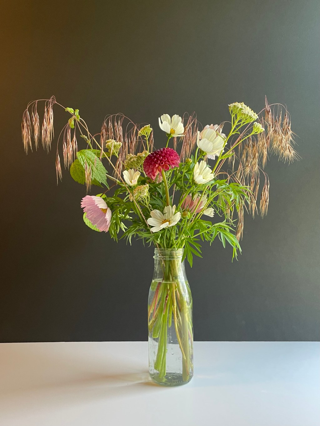 Introducing: The Burlesca&nbsp;Dahlia!